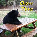 Lone Wolf Cabins & Getaway