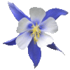 Vallecito Service League