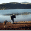 Fishing Information